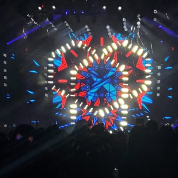 Meet your Posher, Rae - Picture 12 of 16